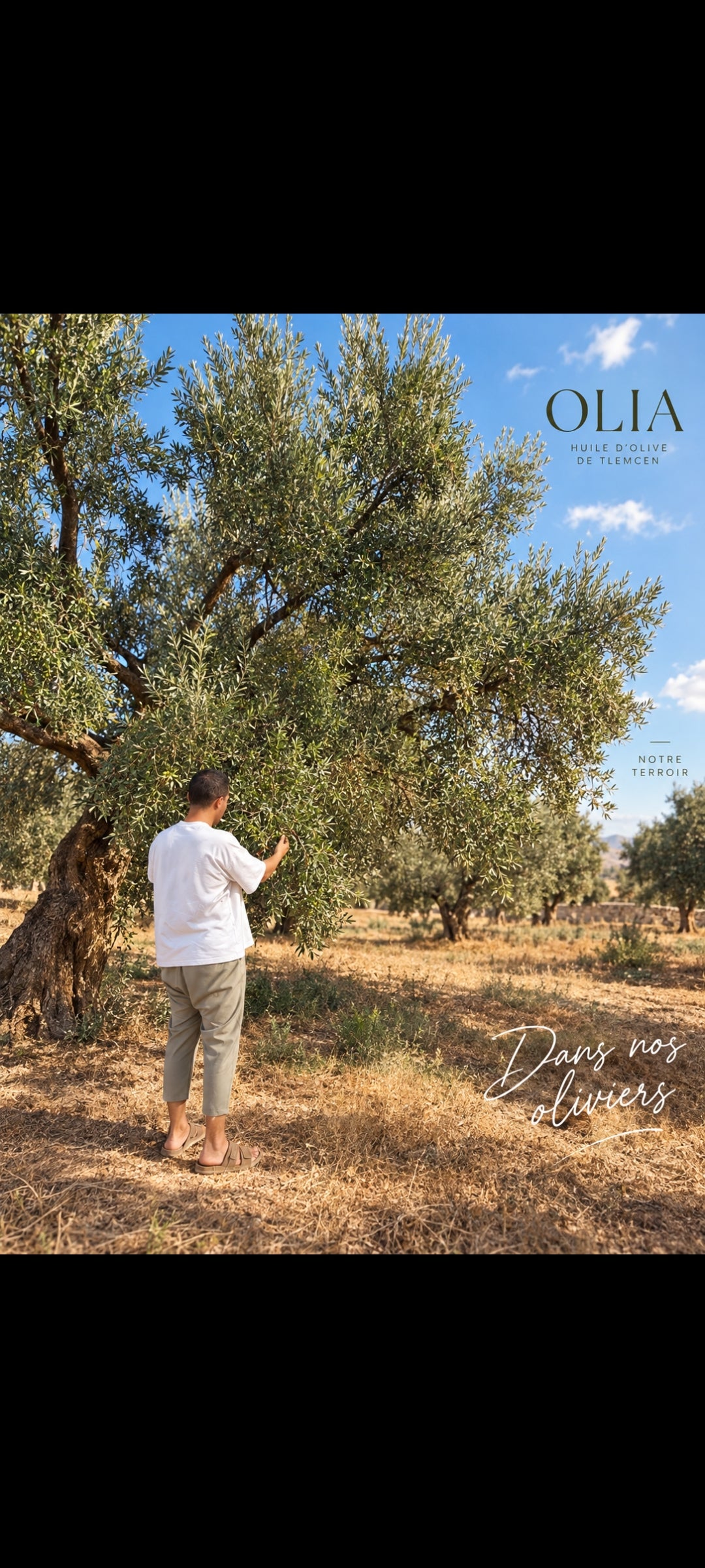 Histoire OLIA — photo 2